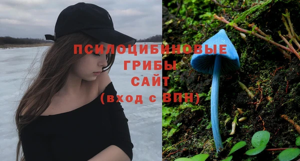 мдпв Сосновка