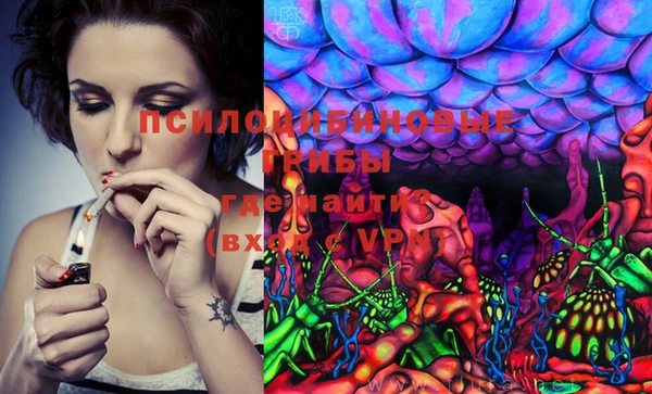 MDMA Premium VHQ Сосновый Бор