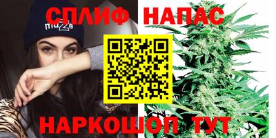 сатива Апшеронск