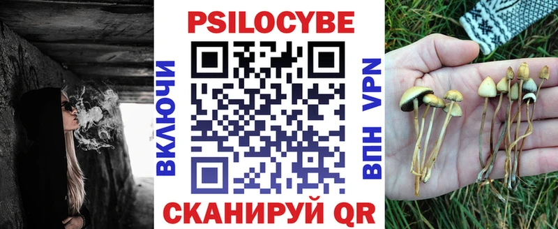 Галлюциногенные грибы Psilocybine cubensis  закладки  Белгород 