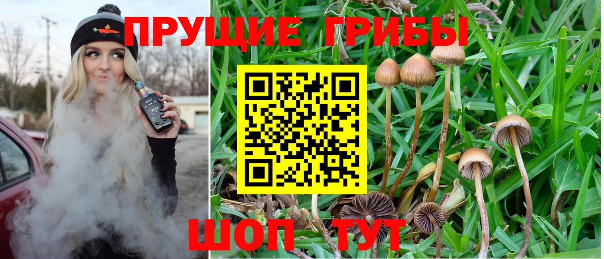 Галлюциногенные грибы Cubensis Белгород