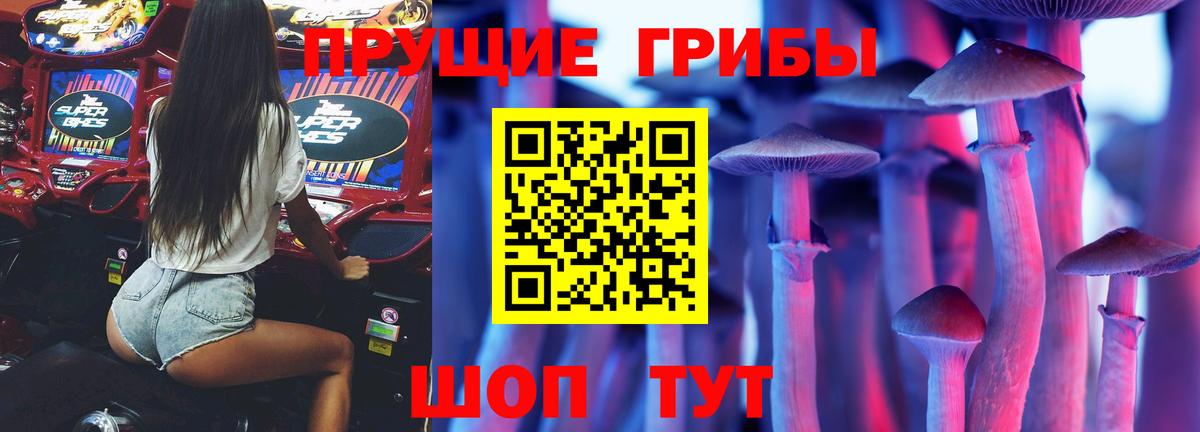 Псилоцибиновые грибы прущие грибы  как найти   Белгород 