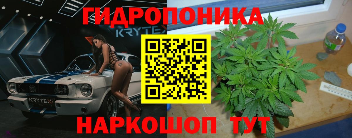 Бошки Шишки планчик  Вход с VPN  Белгород  Бошки марихуана семена 